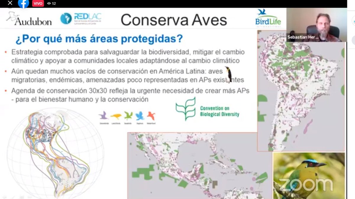 AudubonAmericas's tweet photo. 🐦EN VIVO - @skherzog está en #RedLac2021, para compartir la visión y experiencia de @AudubonAmericas en los procesos de alianzas de conservación y fondos ambientales, y la iniciativa hemisférica #ConservaAves. https://t.co/T8g14mC8B5
@BirdLife_News @ABCbirds #ConAlas https://t.co/EeTjSx1N7X