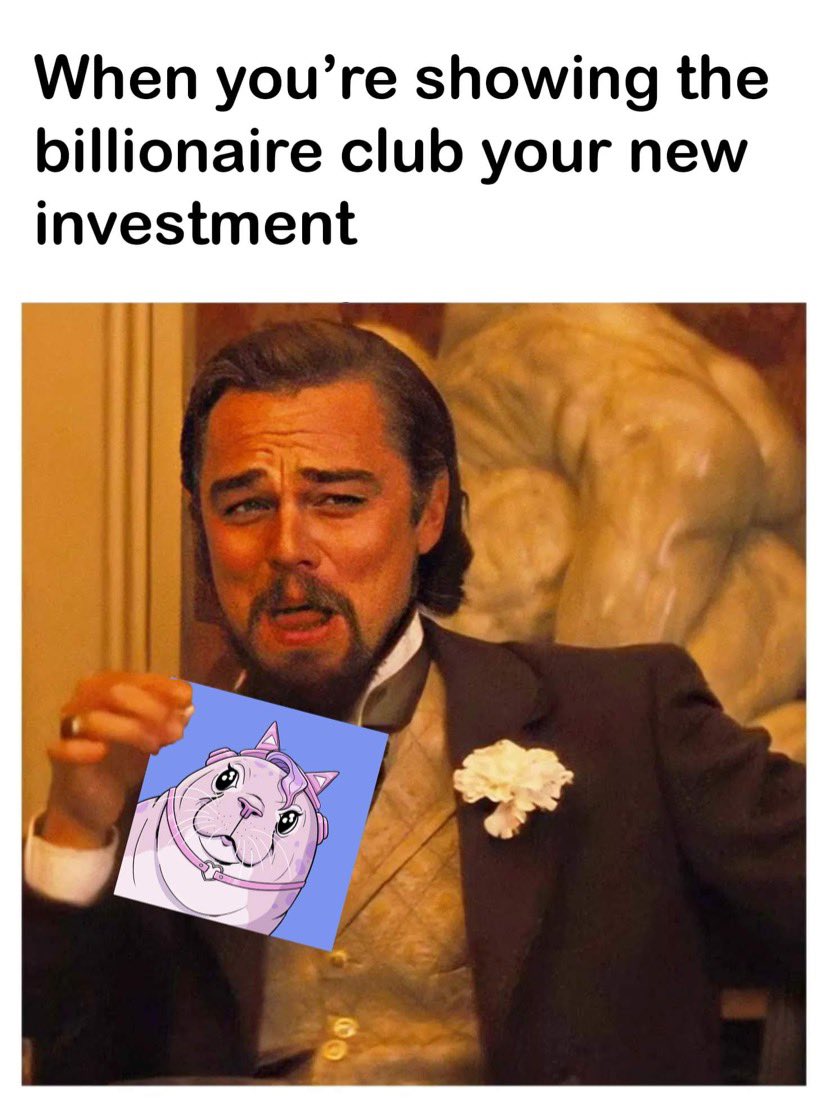 🦭 26/100 minted (84% sold)
🦭 2000 IG seals, 500 Twitter Seals
🦭 Roadmap and Discord launched late, 2 milestones in 48h. One seal sponsored and all holders 1 x free NFT
🦭 Mint increased 0.03 > 0.05 ETH
❌ Public  giveaway (Oct 4th)
❌ New drops (Oct 4th)
❌ Fish in belly