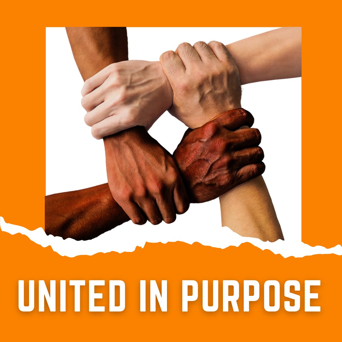 noviscend's tweet photo. @Noviscend and @LaunchItVS are combining our efforts on a new medical education initiative to address some of the underlying drivers of health disparity.
Looking for a new way to get your message out to your healthcare peers? Contact us at https://t.co/wd70fTSlK6. #HealthEquity https://t.co/1qnSAc9X1R