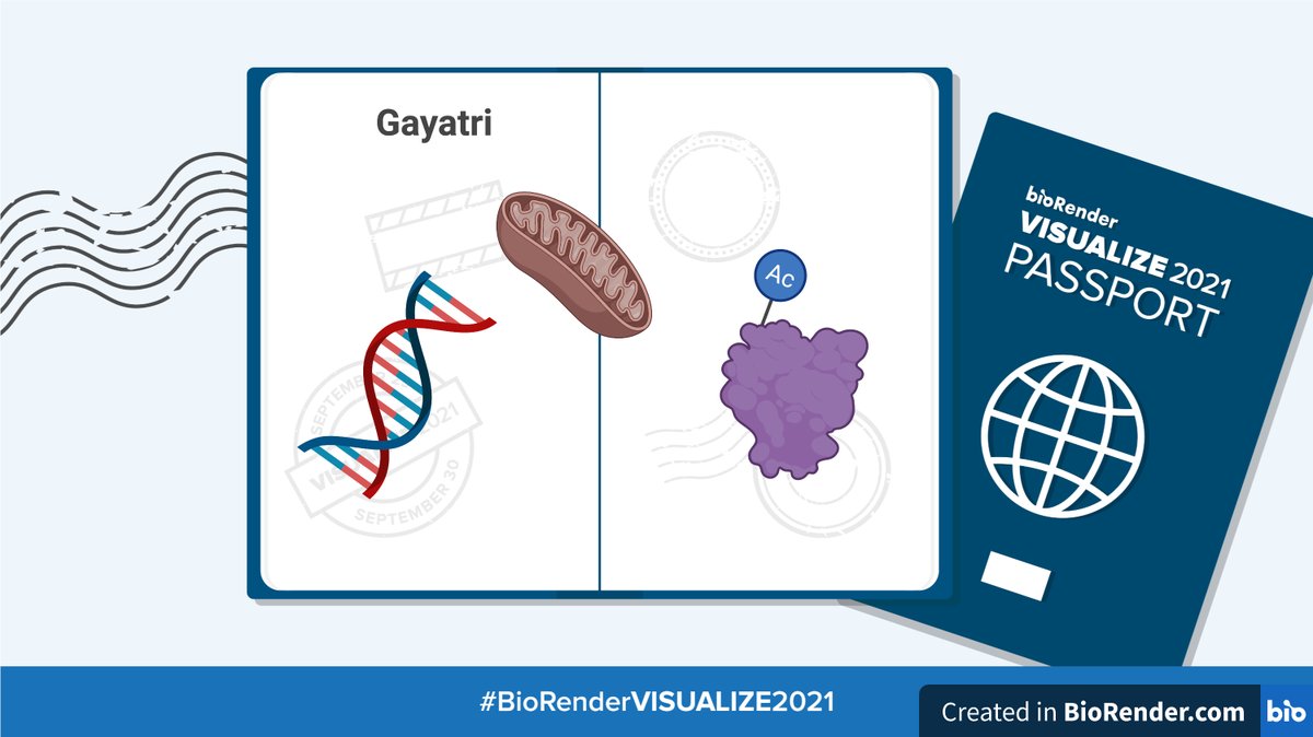dancing_toxico's tweet photo. Created by https://t.co/paZBvgjuhQ for #BioRenderVISUALIZE2021 @BioRender https://t.co/AE2sCaCtOv