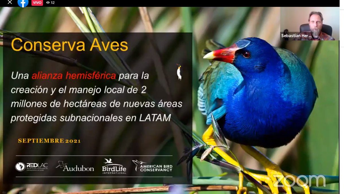 AudubonAmericas's tweet photo. 🐦EN VIVO - @skherzog está en #RedLac2021, para compartir la visión y experiencia de @AudubonAmericas en los procesos de alianzas de conservación y fondos ambientales, y la iniciativa hemisférica #ConservaAves. https://t.co/T8g14mC8B5
@BirdLife_News @ABCbirds #ConAlas https://t.co/EeTjSx1N7X