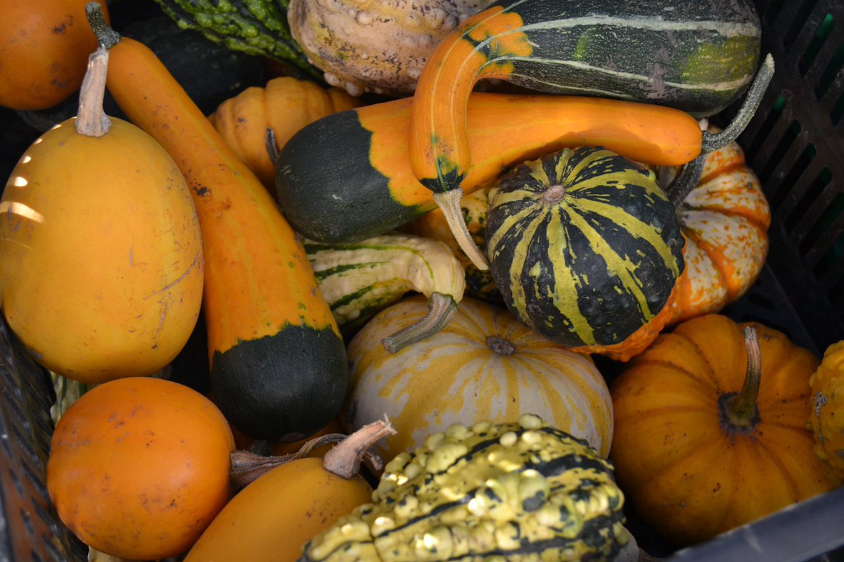 SWEdm Farmers Market tweet media