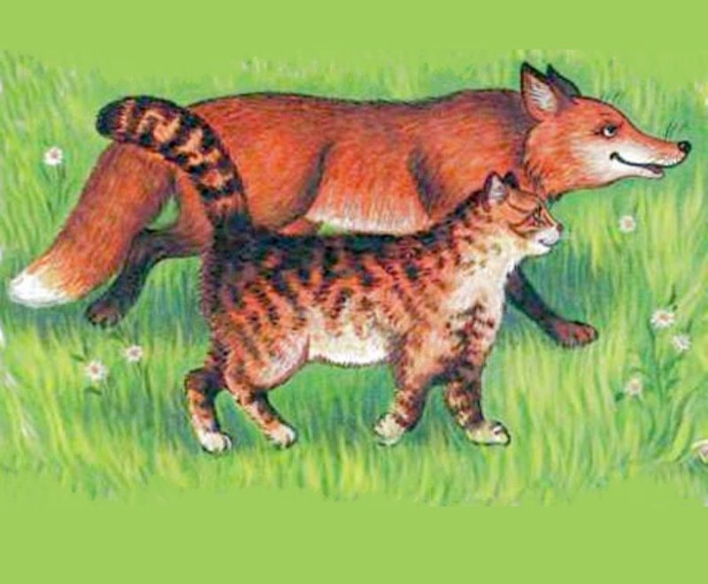 Кот и лиса и леса. Домик в лесу кот. Коты в лесу. Кот и лиса и леса. Лев николаевич толстой белка и волк.