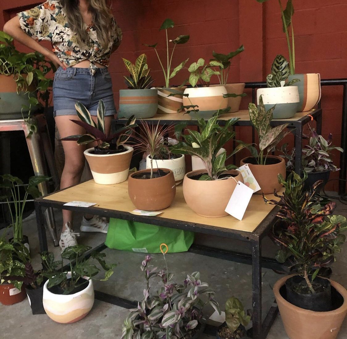 316centro's tweet photo. 10 de Octubre inauguramos la #temporada316 @ForoIndierocks y tendremos un bazar de plantas por #FloraLocal 🪴Además de una sesión de musicoterapia con Ben Zar,  un ritual sonoro por @interspecifics y el estreno en vivo del álbum debut de @domingae666 👌🏾🎟 https://t.co/s4mozHqWon https://t.co/q0dSyXaNyp
