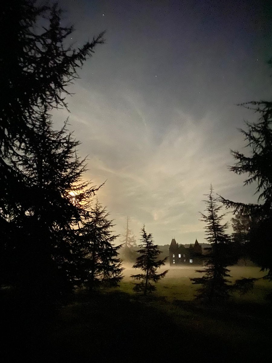 Boisbuchet's tweet photo. Les arbres dansent la nuit à Boisbuchet. 🌲
Trees dance at night in Boisbuchet 

#boisbuchet #design #architecture #nature #france https://t.co/8lEw1MFfi0
