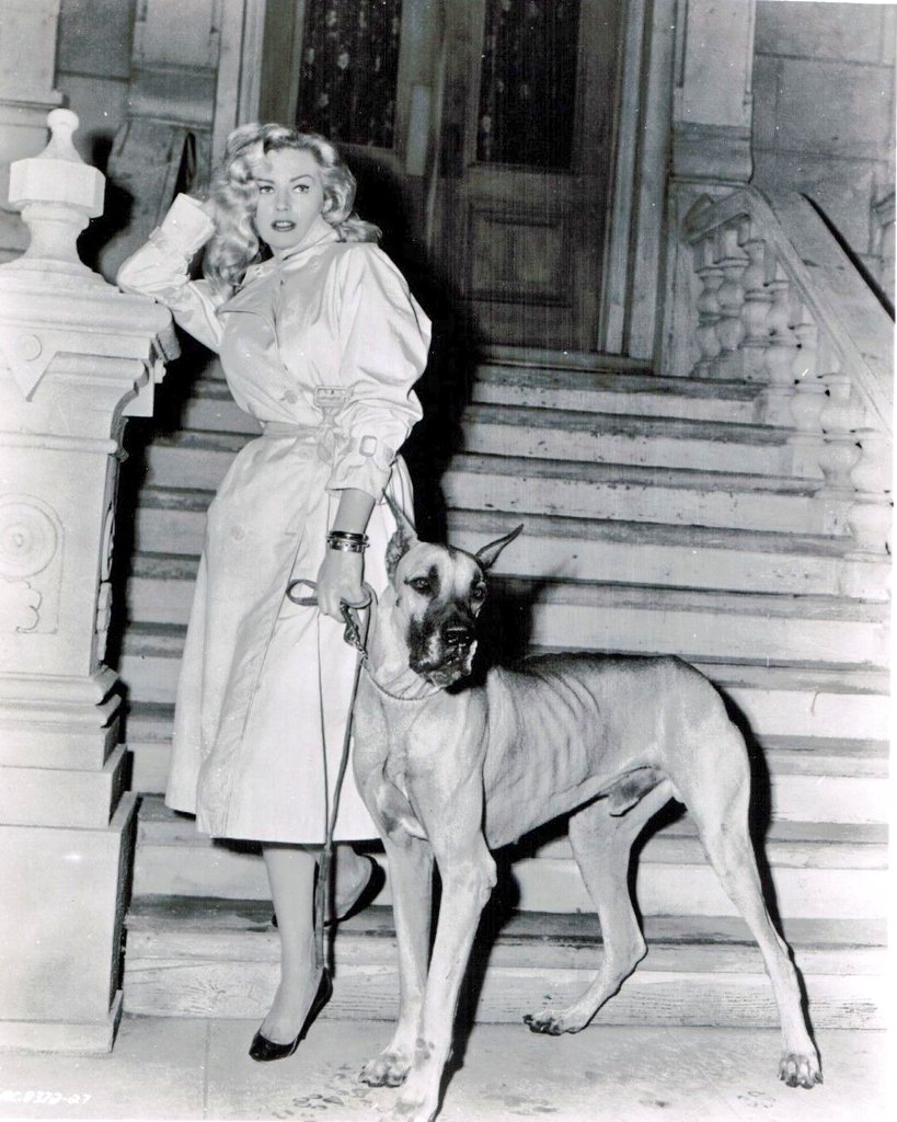DamesandDogs's tweet photo. #AnitaEkberg on the set of 'Screaming Mimi' (1958) https://t.co/Ei2nZRAAGY