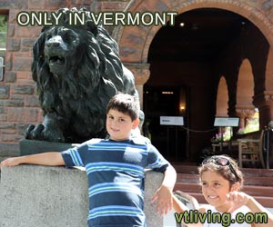 vtlivingcom's tweet photo. Only in Vermont - 20 things you can only do in VT #vermont #vermontonly #OnlyVermont #Vermonter #thisisVT #VTLife #VTLiving #VTOnly #VTInn #VTHotel #VTAttraction #VTVacation #VTRealtor #VTHomes #VTFoliage #VTTravel #TravelDestinations https://t.co/retjg2u8vO