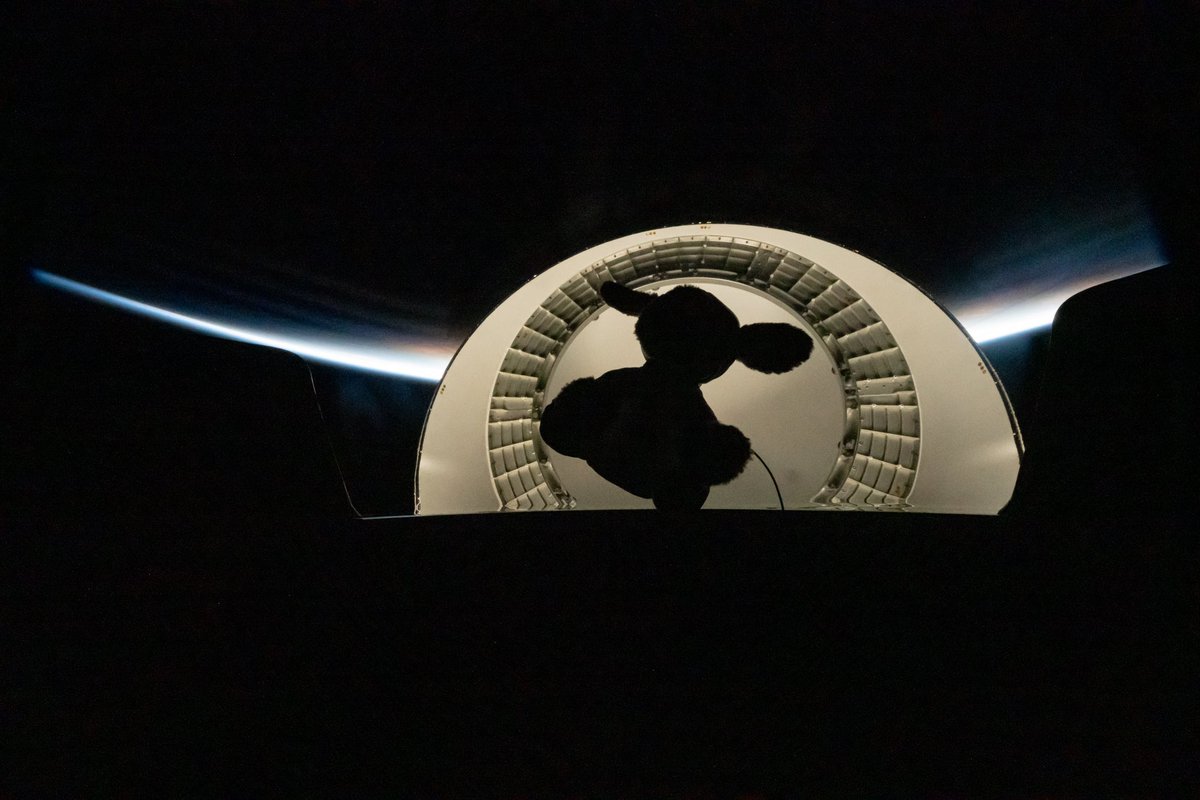 inspiration4x's tweet image. “When you look up at the sky, you dream about being among the stars. When you’re with the stars and look down, you dream about being back on the earth.” — @ChrisSembroski

More stunning photos from our #Inspiration4 crew’s three-day journey to orbit 🌎