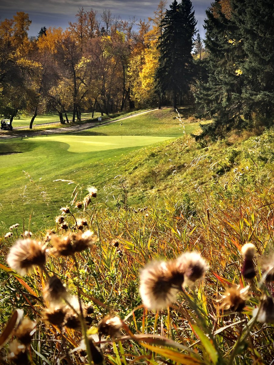 ranchgolfcourse's tweet photo. Score Golf Magazine ranked @ranchgolfcourse as the course offering the best value in Edmonton, 2nd best in Alberta &amp; 30th best in Canada. Starting October 4th, our low season rates kick in until we close. The incredible value we offer gets even better! https://t.co/HliH0t3RlD