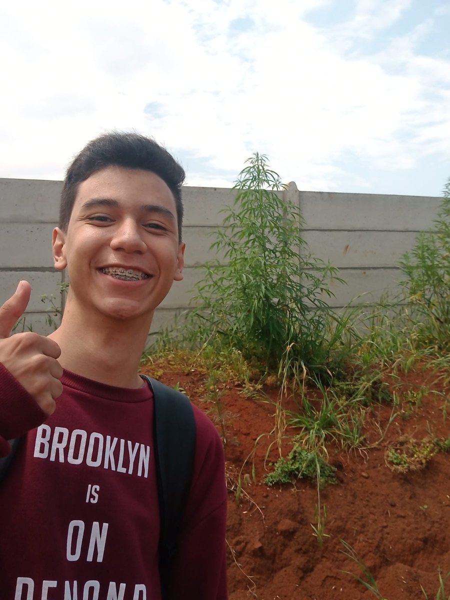 CBRTson's tweet photo. Achei um pé de maconha na rua hoje.
Big day https://t.co/83ZFGguZlY
