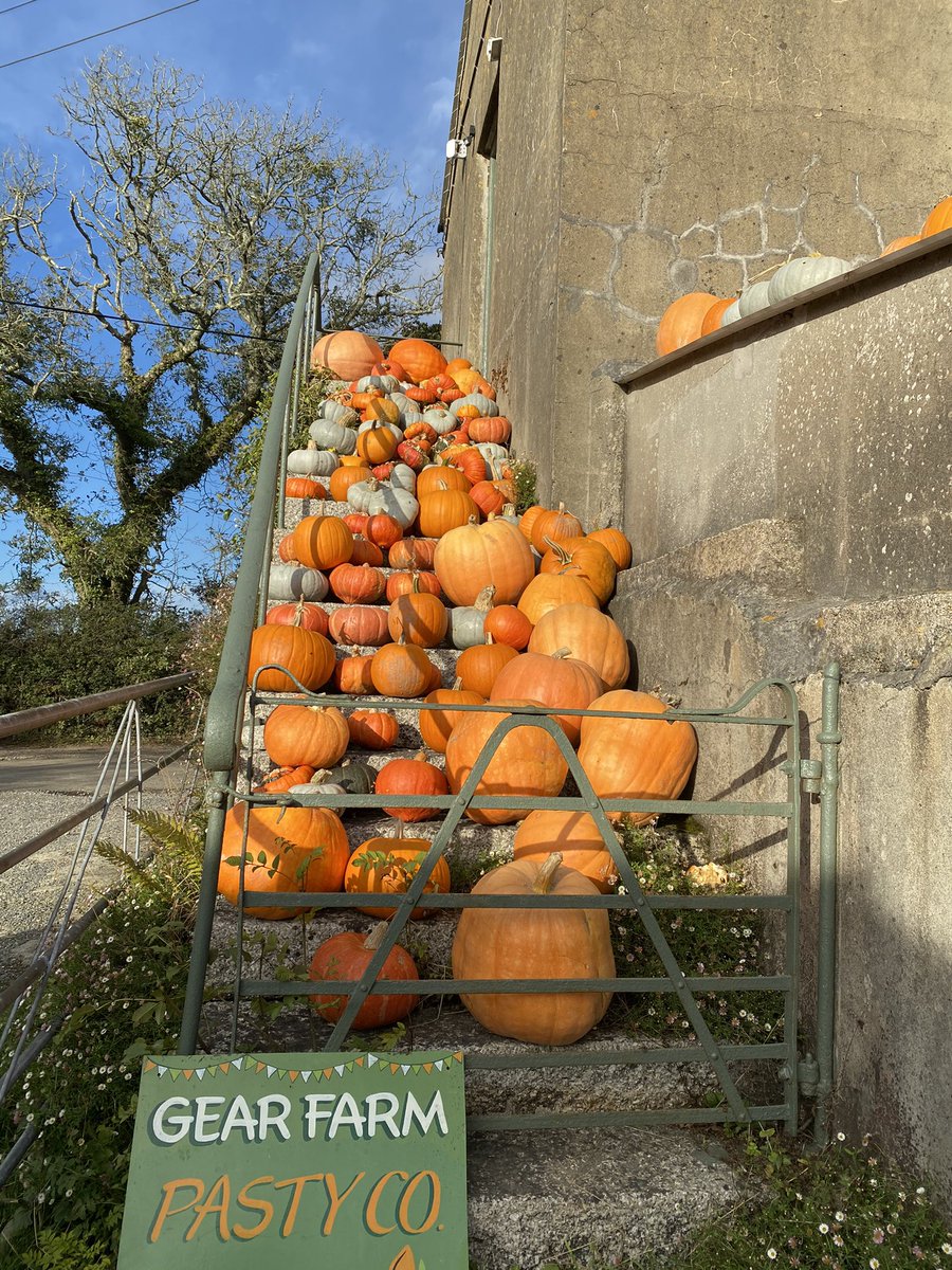 Lizard Hol Cottages tweet media