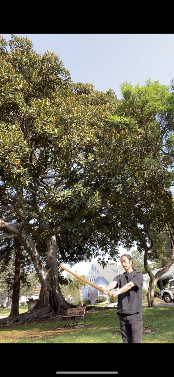 KobayashiKaz's tweet photo. Good Morning! I hope your are doing well! Train with great tree im the morning! Uniyfy everythings!
天地人
https://t.co/eQxsvLj9Fe
#KobayashiKaz #samurai #samuraitraining #suburi #nature
#tree #energy https://t.co/GPs9ObzysR