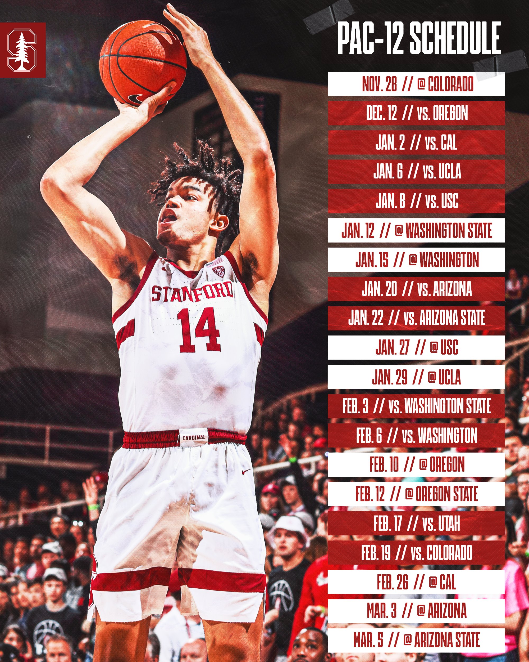 Stanford Hoops StanfordHoop X