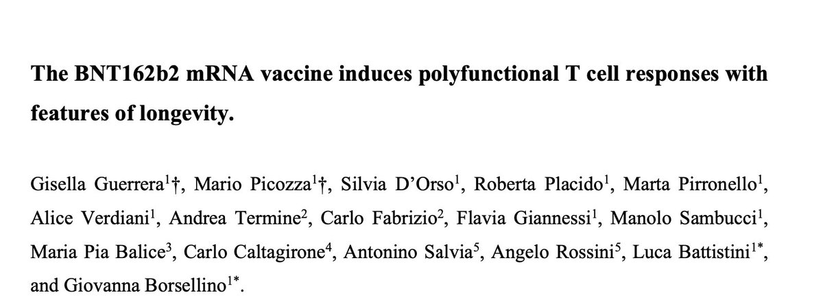 SiicaI's tweet photo. ✨
https://t.co/pmQgHHtqJL
New publication on induction of polyfunctional and long-lived T cell responses by BNT162b2 mRNA vaccine by the #Neuroimmunology group from @SantaLuciaIRCCS.
#vaccine #ImmuneSystem #SIICApaper #memorycells
#SIICA #immunology #Tcells #research #science https://t.co/nuE6GiOH8a