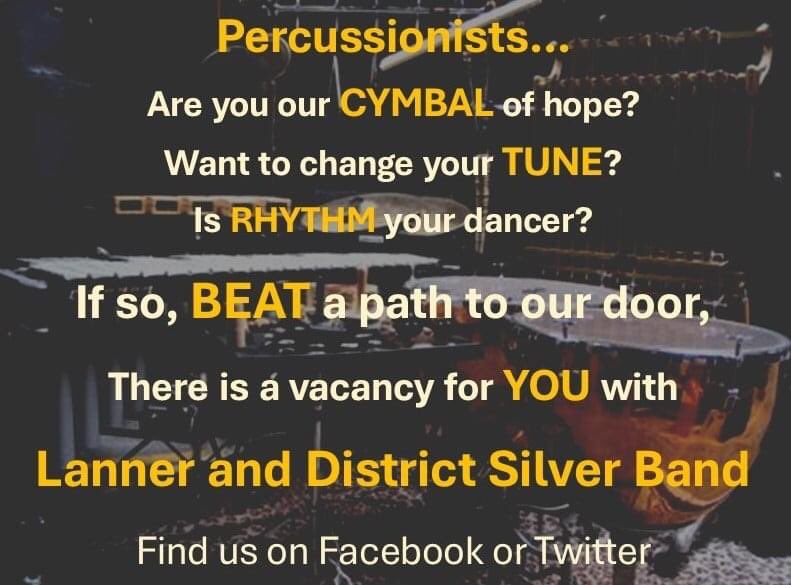 Lanner Band (@lanner_band) on Twitter photo 