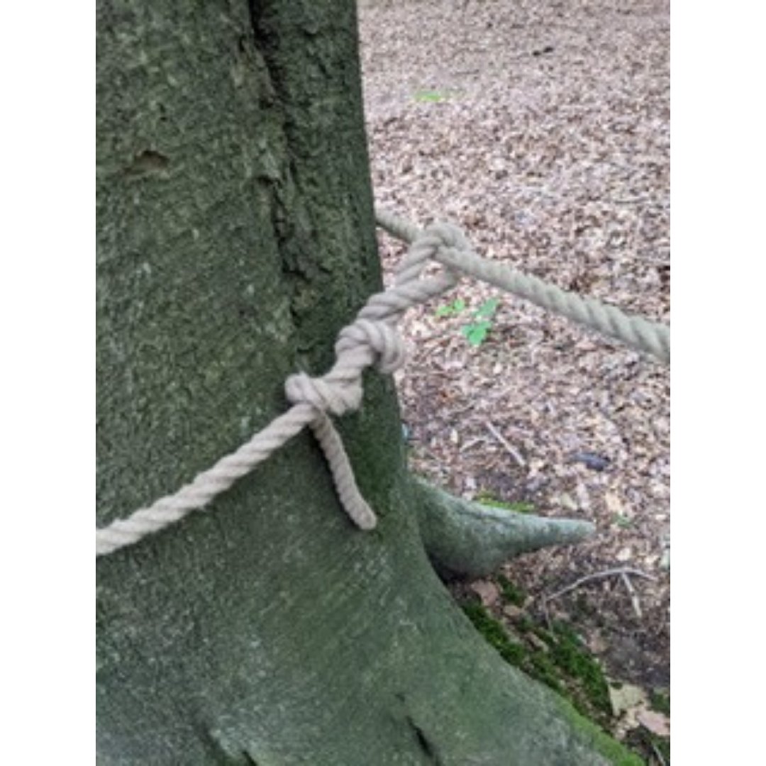 The Team tweet media