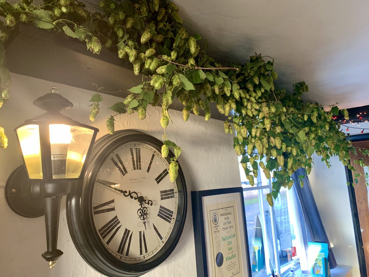 The Salutation Inn tweet media