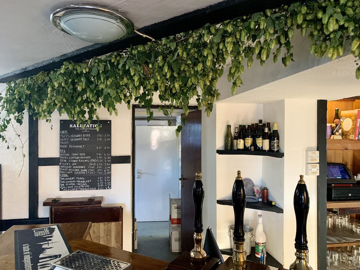 The Salutation Inn tweet media