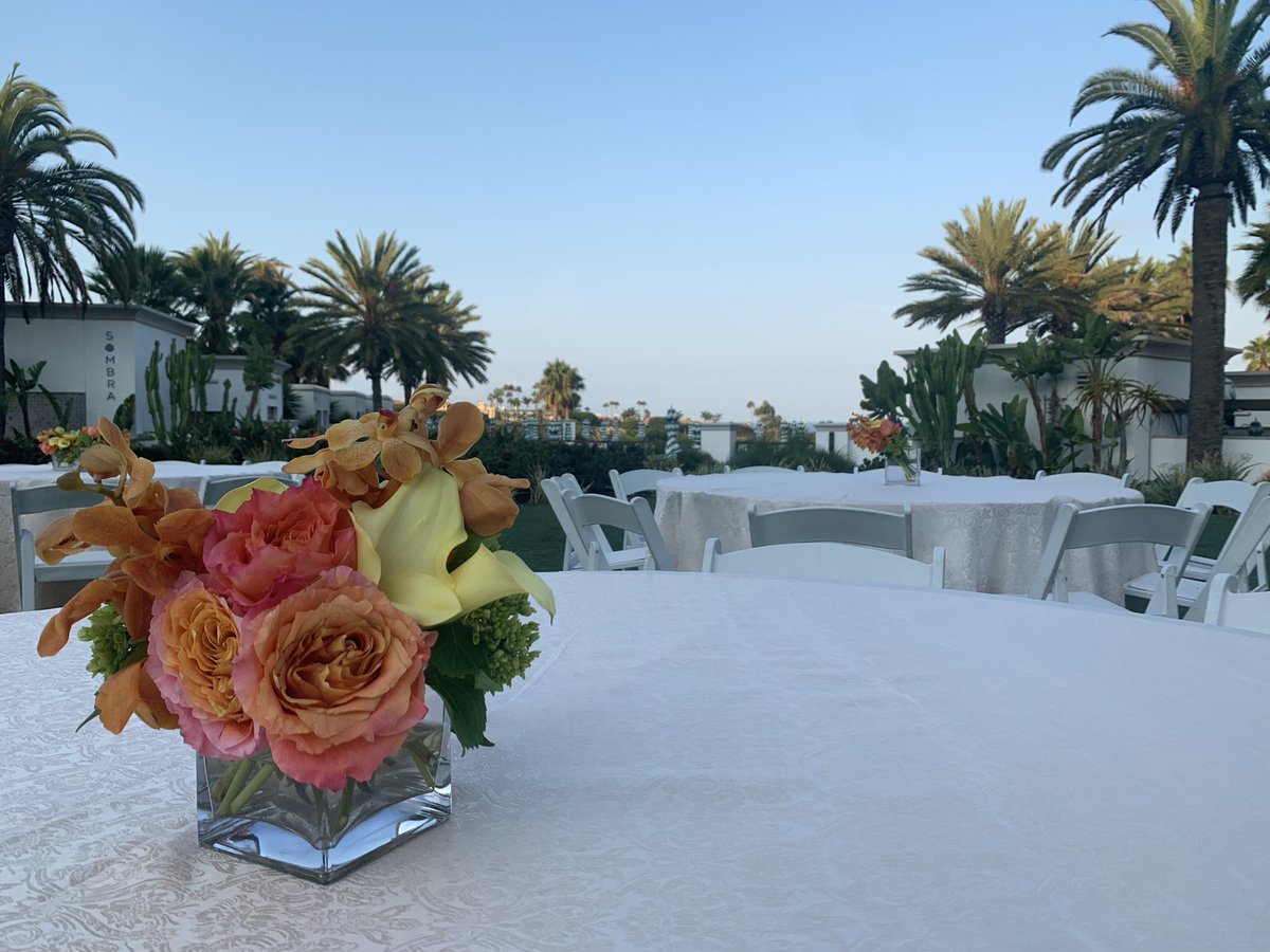 Falk Marques Group tweet media