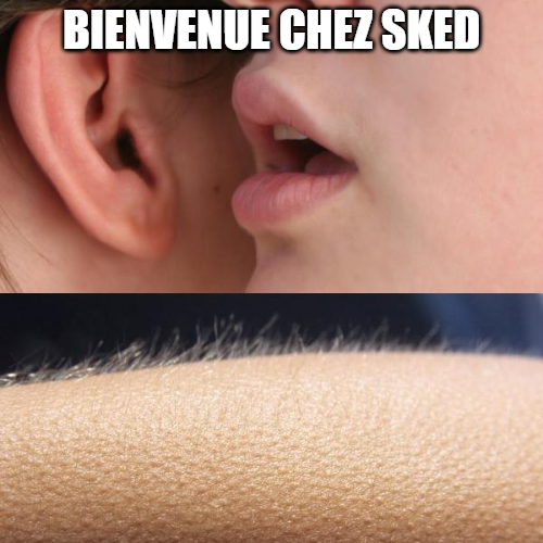D'après les rumeurs, on a cette réaction quand on rejoint Sked 👀