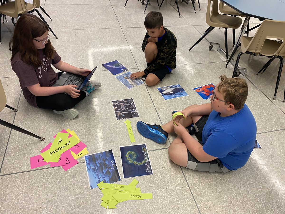 hmssci5's tweet photo. Whenever we can get outside the four walls of our classroom, we do! Last week the kids were able to work together to make a giant Food Web in preparation for a quiz. https://t.co/uomJod5s47