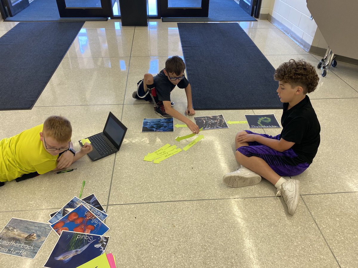 hmssci5's tweet photo. Whenever we can get outside the four walls of our classroom, we do! Last week the kids were able to work together to make a giant Food Web in preparation for a quiz. https://t.co/uomJod5s47