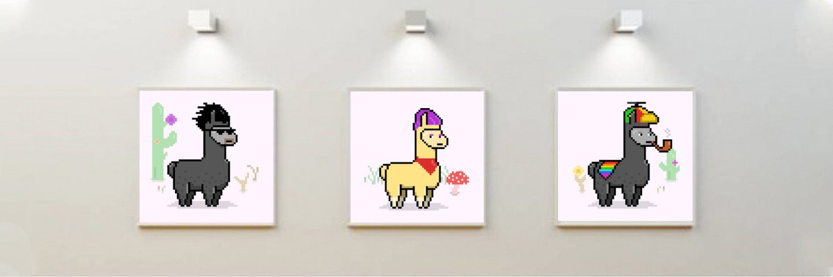 Shroomz_NFT's tweet photo. Proud to be supporting our furry friends @SollamasNFT, by acquiring 3 llamas for our DAO. We will be airdropping one of these pixelated dudes to one of our hodlerZ. More info will be dropping in our discord soon.

Ps Floor price 2x in the last 24 hrs👀(Link below)

Let's Growwwww https://t.co/E78iSGuKUE