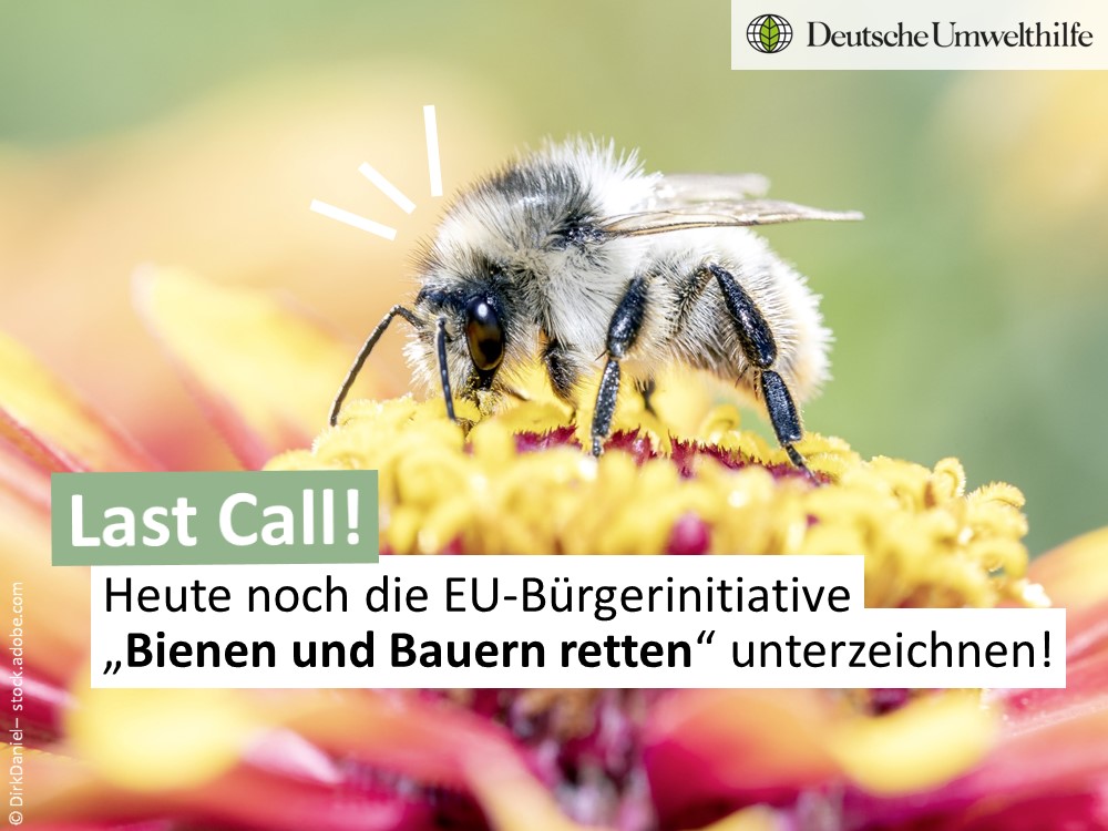 Umwelthilfe's tweet photo. Der Countdown läuft: Die Europäische Bürgerinitiative „Bienen und Bauern retten“ benötigt zum sicheren Erfolg mind. 1,2 Mio. Unterschriften. Noch bis heute, 23:59 Uhr, für eine echte Agrarwende unterzeichnen: https://t.co/JudiTKazEo @BeesEci #SaveBeesAndFarmers https://t.co/Yvjt4XcEHc