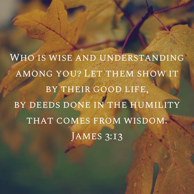 AmyMClarkTX's tweet photo. Who is wise &amp; understanding among you? Let them show it by their good life, by deeds done in the humility that comes from wisdom…the wisdom that comes from heaven is first of all pure; then peace-loving, considerate, submissive, full of mercy &amp; good fruit, impartial and sincere https://t.co/96THHv82K3