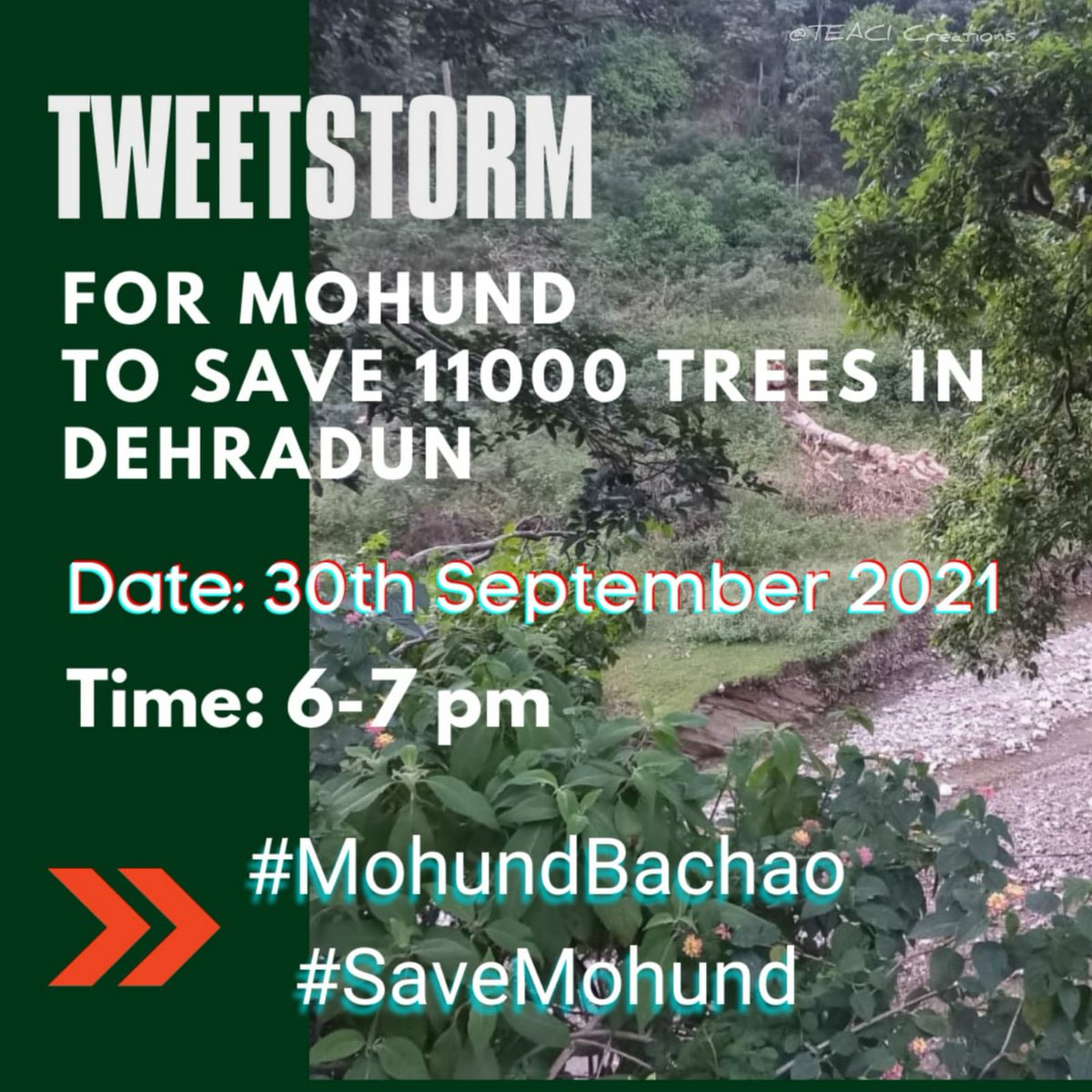 aanchii_sharma's tweet photo. Just before reaching Dehradun after Saharanpur 

Mohund forest will greet you with its motherly hug

Those beautiful Trees waving at you

Birds chirping

Its like as if the entire forest is celebrating you 

But Unfortunately today Mohund forest is slowly vanishing

#MohundBachao https://t.co/tFqRJYXLvc