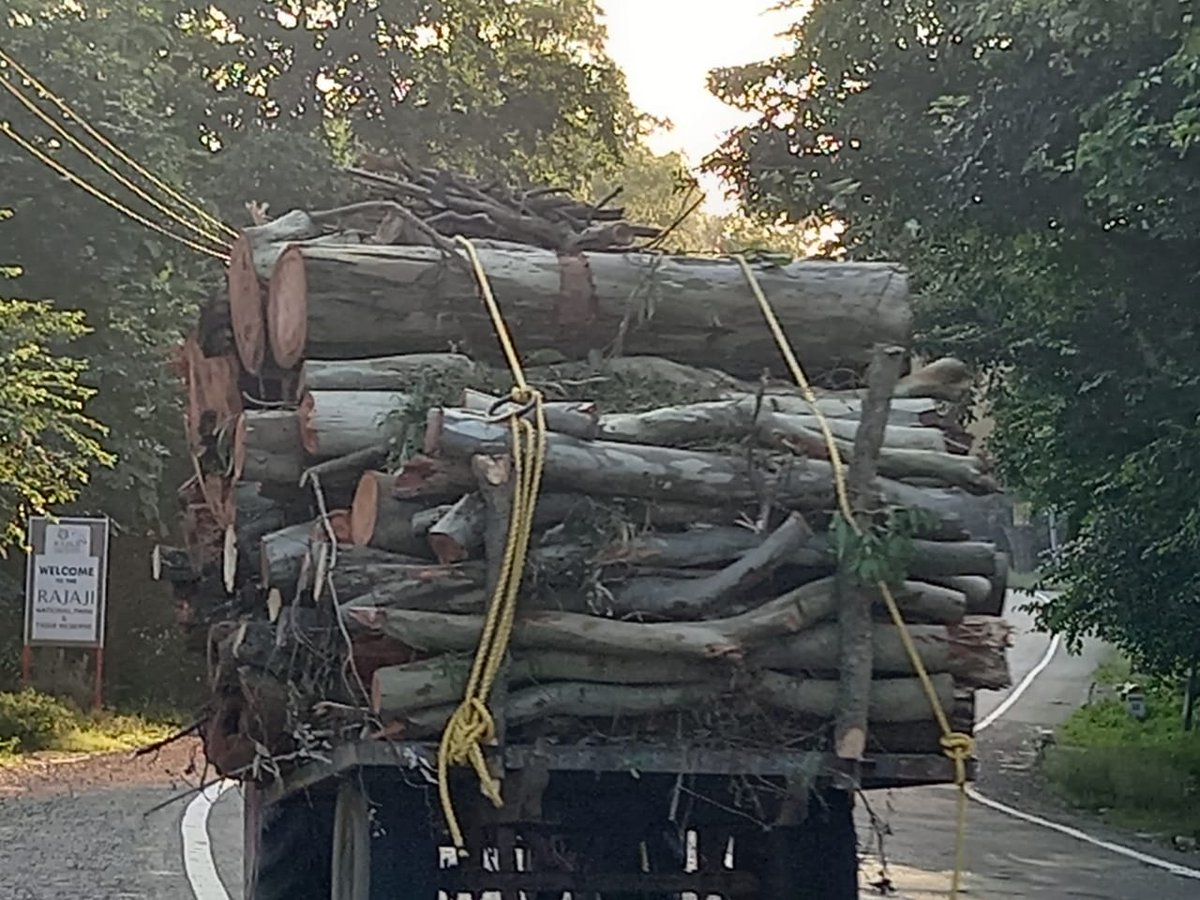aanchii_sharma's tweet photo. Just before reaching Dehradun after Saharanpur 

Mohund forest will greet you with its motherly hug

Those beautiful Trees waving at you

Birds chirping

Its like as if the entire forest is celebrating you 

But Unfortunately today Mohund forest is slowly vanishing

#MohundBachao https://t.co/tFqRJYXLvc