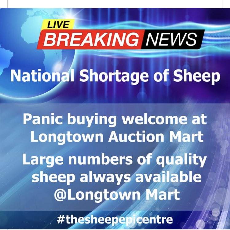 #woolweek #shortages  🤣best post ever @longtownmart #AgTwitter  #thesheepcenter 🤣🤣