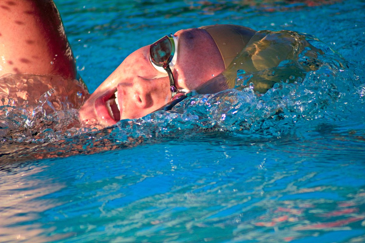 Randy T Lefko tweet media