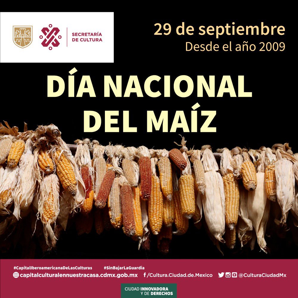 CulturaCiudadMx's tweet photo. #HoyCultura celebra al alimento más representativo de nuestra cultura y gastronomía, el maíz 🌽 🇲🇽

“Somos granos de maíz de una misma mazorca.
Somos una sola raíz de un mismo camino”. Fragmento de poema otomí del escritor y poeta Thaayrohyadi.

#DerechoALaMemoria https://t.co/ygJ6sPov3a