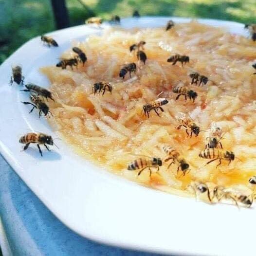 Om de bijen te helpen 🐝. Rasp in de herfstmaanden een appel in een schaal of plat bord. Voeg wat water toe. De bijen kunnen de suikers uit de vruchten halen, het water drinken en niet verdrinken omdat ze op de stukken fruit kunnen staan. RT vinden de 🐝 fijn.