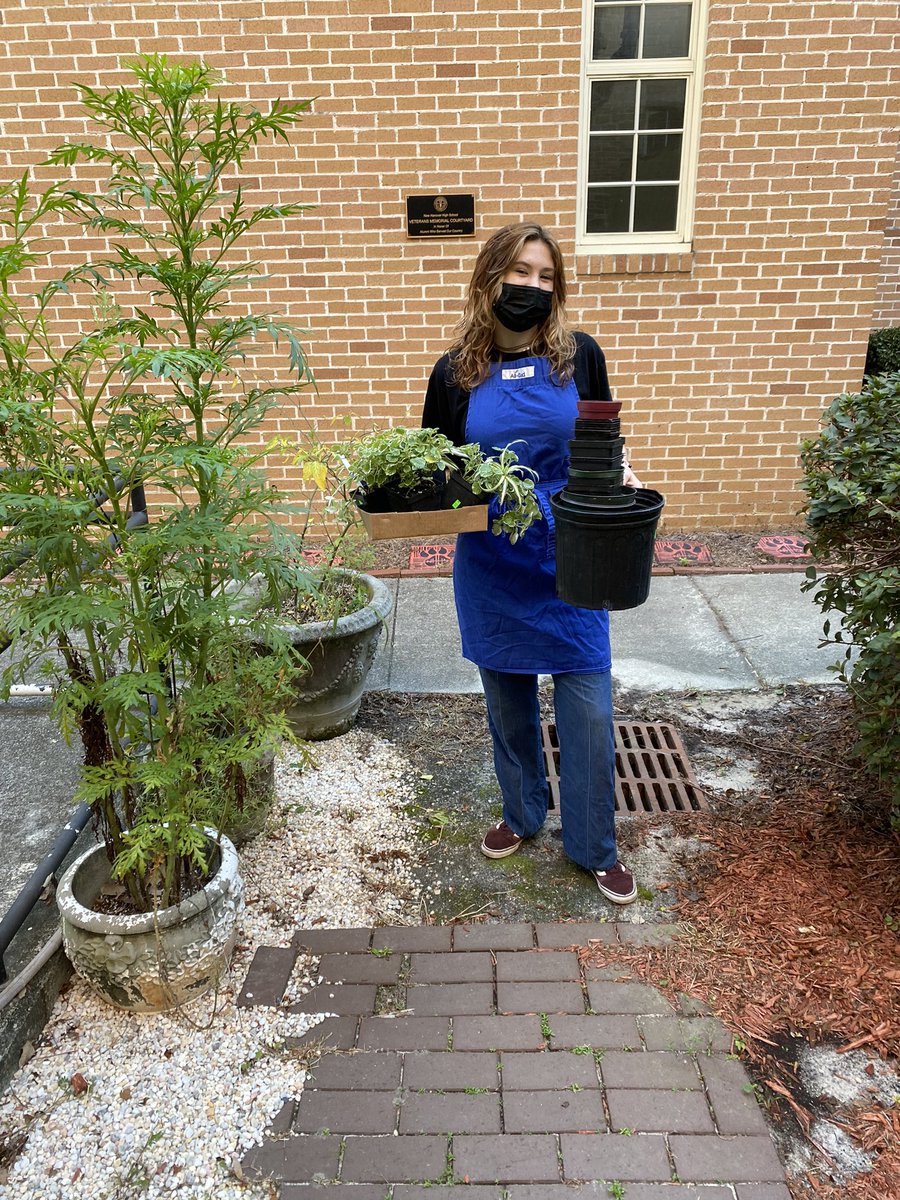 MrsMuir_'s tweet photo. Student from NHHS garden club continue their work in beautifying our garden area. 🪴🌿🌳 #plantherapy https://t.co/9f1Dwtkose