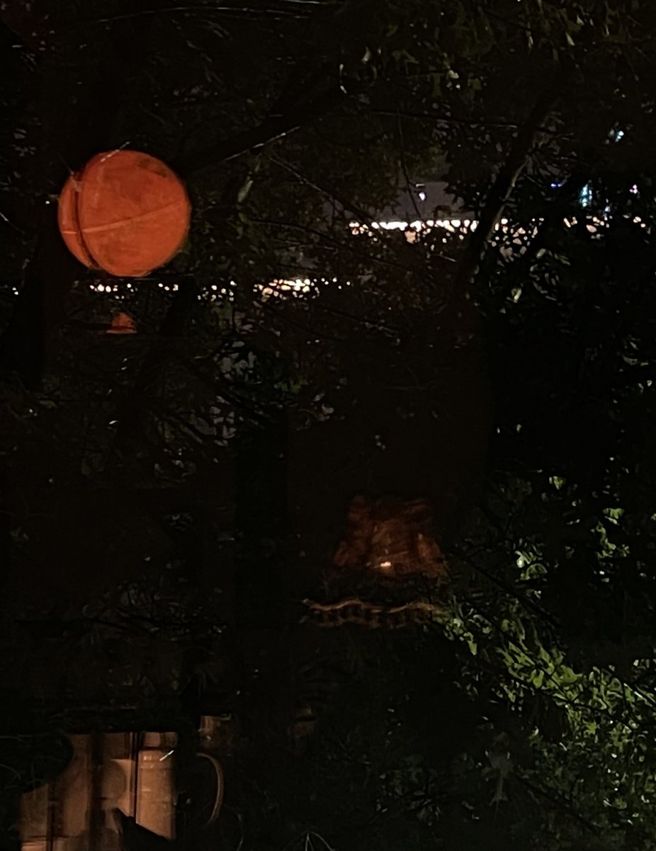 아옥 (@oaoke_) on Twitter photo 