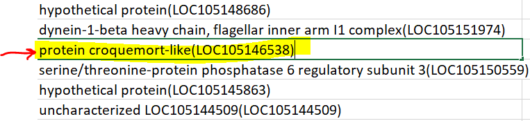 Ants_ee_thesis's tweet photo. happened upon 'le French Protein' in the brain of Acromyrmex echinatior queens @AgingPhD : #coolproteinnames #ameisenareamazing #ageing https://t.co/y8mwakgB8T