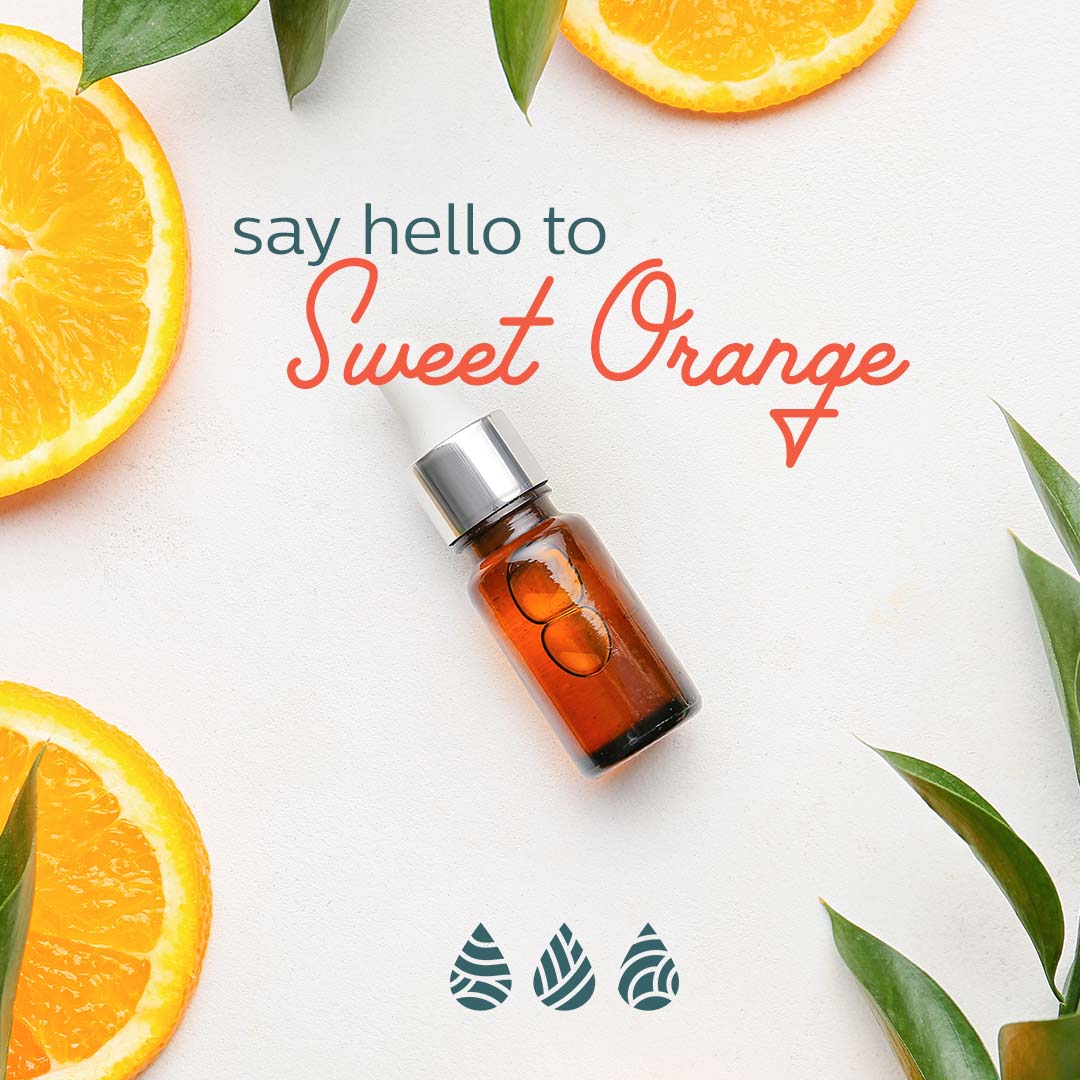 ElementsDenverW's tweet image. Need a thoughtful gift for an expecting mom? Gift a therapeutic massage session featuring our pregnancy-safe Sweet Orange AromaRitual® service. It’s custom-blended by @ShankaraNaturals and always welcome! 

Book now at: ow.ly/vD3l50G1LRj

#prenatalmassage #prenatal