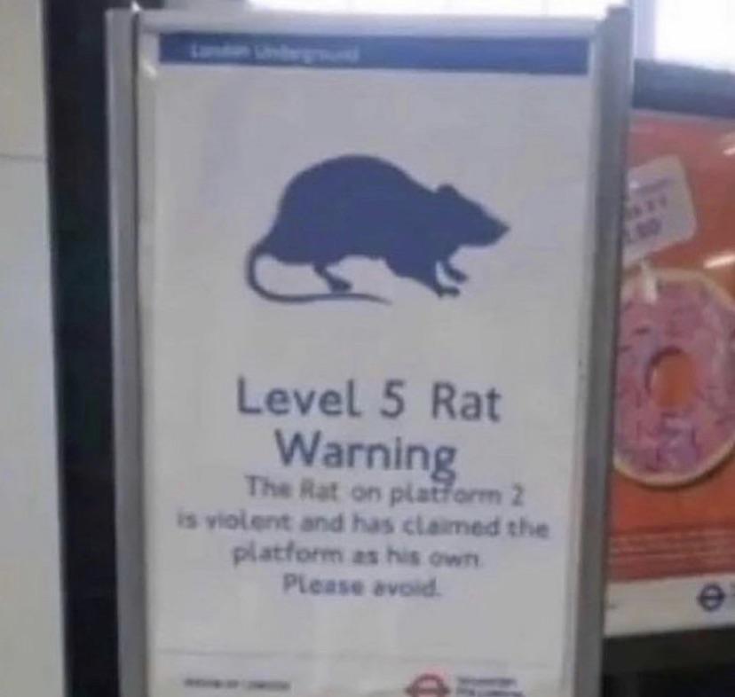 A Plague Tale No One Rats During The Middle Ages T Co 60gqwex4ty Twitter