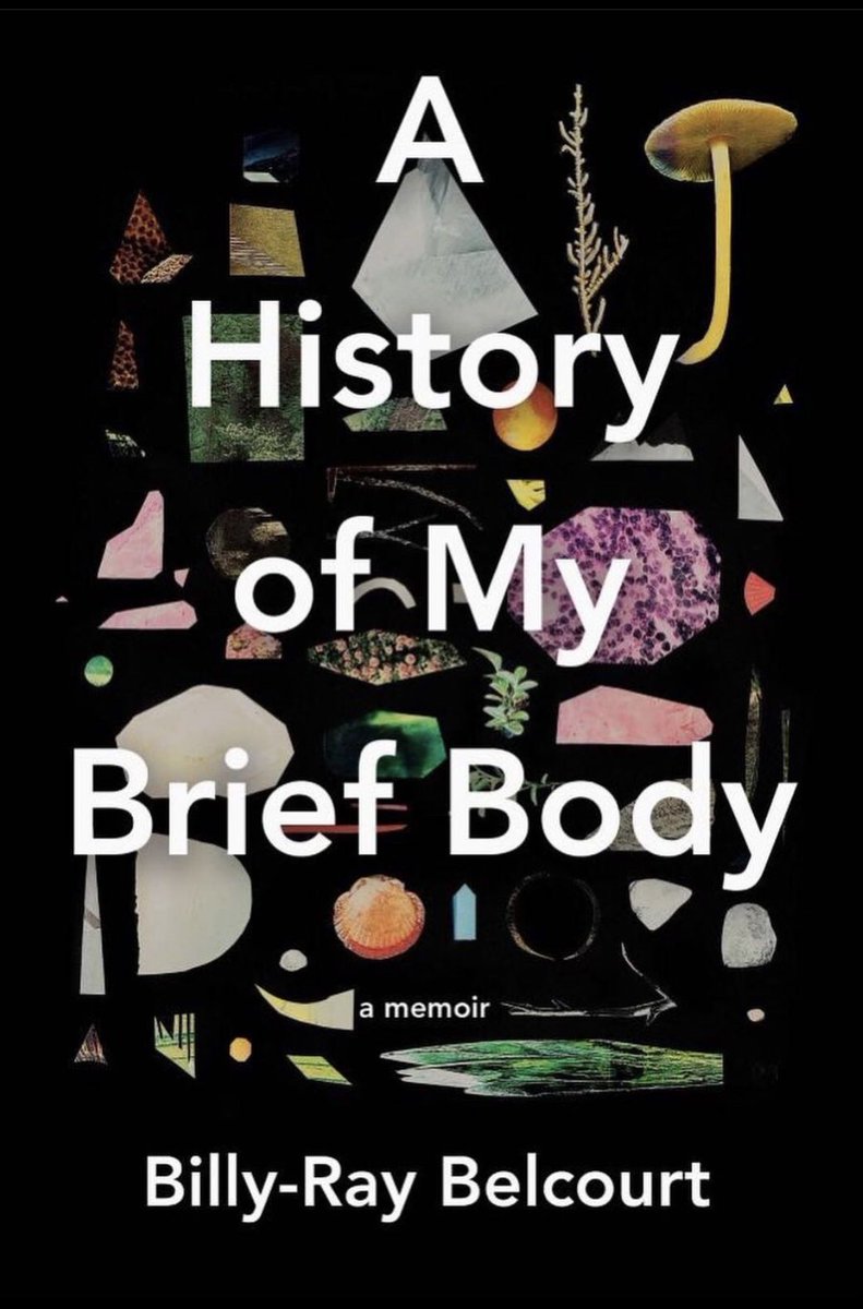 KalemAgency's tweet photo. Günün ödüllü kurgu dışı kitabı pek yakında Sander Yayınları tarafından yayımlanacak A History of My Brief Body, Billy-Ray Belcourt 🥳 Birçok ödül listesinde adından söz ettiren bu kitap, BC and Yukon Book Prizes ödüllerinden Hubert Evans Non-Fiction Prize’a layık görüldü. https://t.co/8aRqD0Ei9y