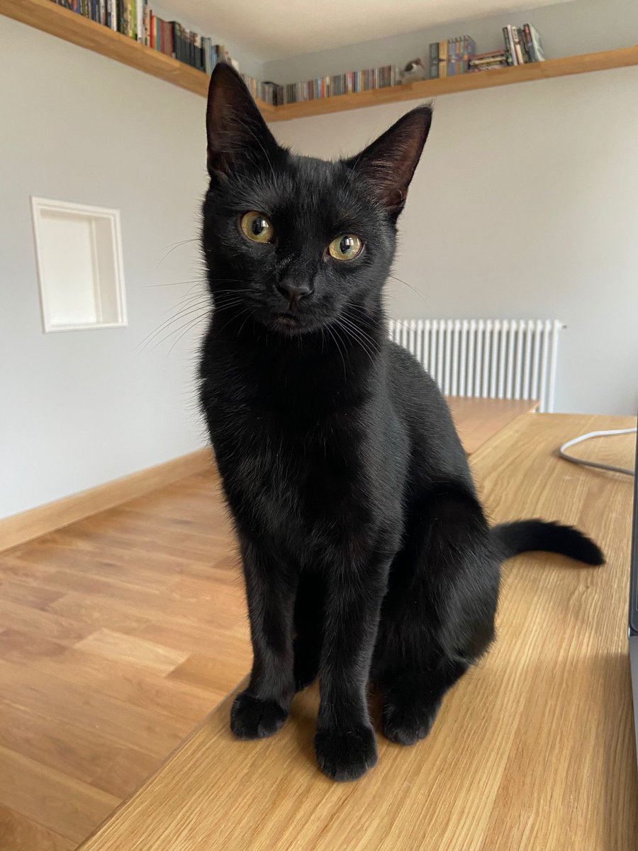 BeecherEoghan's tweet image. Thanks for having me at #FundraisingTech, my home audience was deeply engaged in the content.