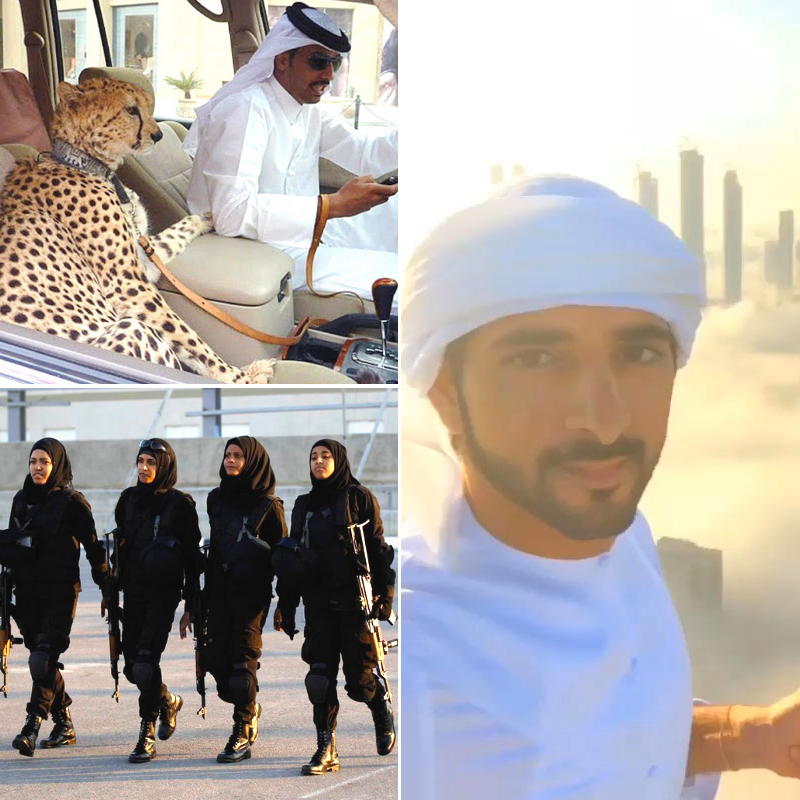 ShanmukSharma's tweet photo. Bizarre Things You'd Only See In Dubai 😉😂