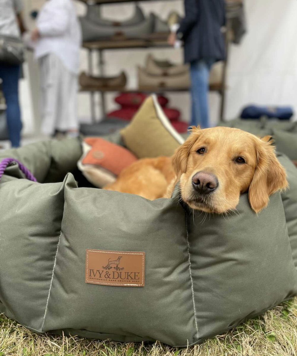 Had an amazing time at the GWCT Scottish Game Fair , we loved meeting you all 🐶