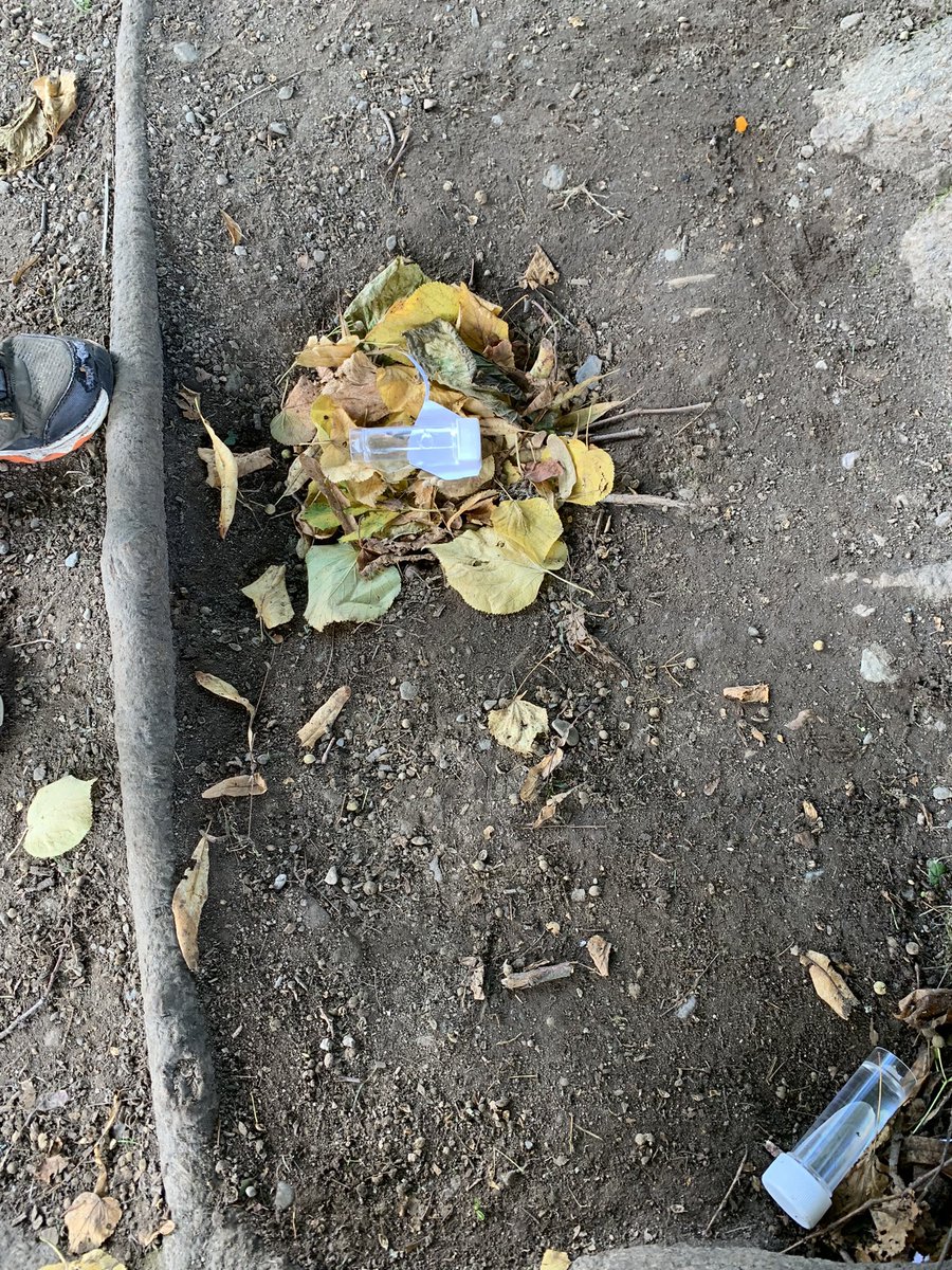 MrsScottCPS's tweet photo. We had great fun in our eco citizenship group @CallanderP 
We did a survey of the school grounds and then did a science experiment about hibernating mice. https://t.co/qAB8eKjzue