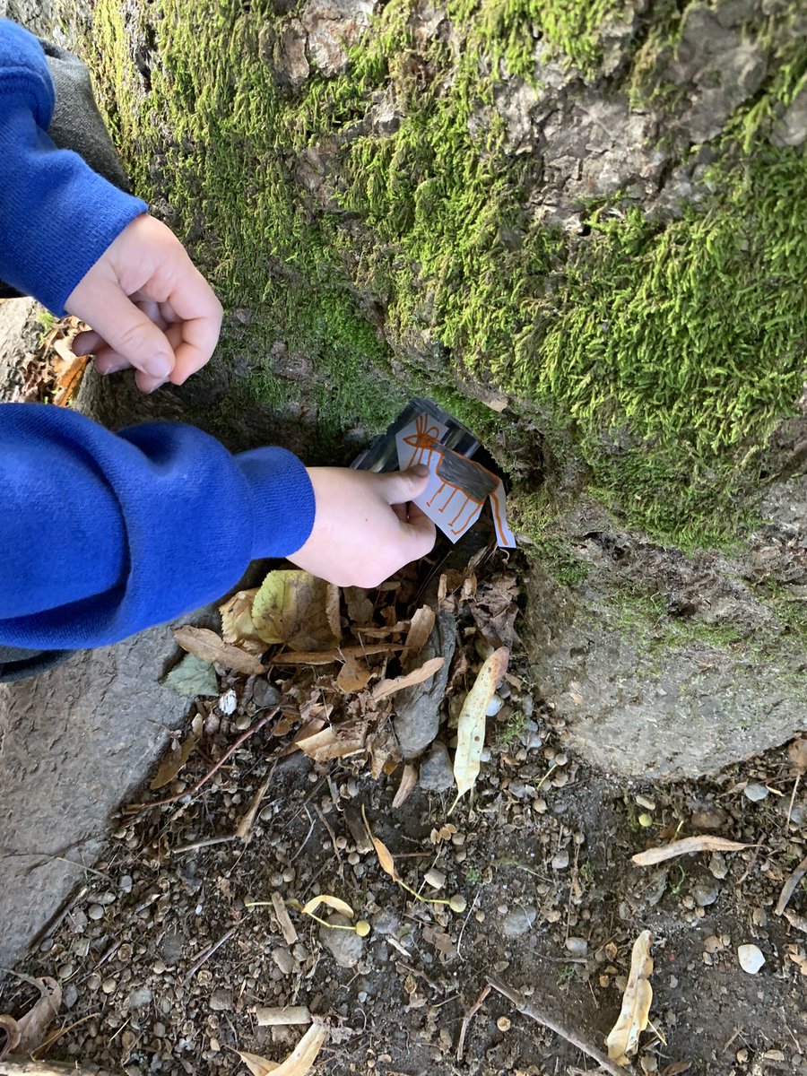 MrsScottCPS's tweet photo. We had great fun in our eco citizenship group @CallanderP 
We did a survey of the school grounds and then did a science experiment about hibernating mice. https://t.co/qAB8eKjzue
