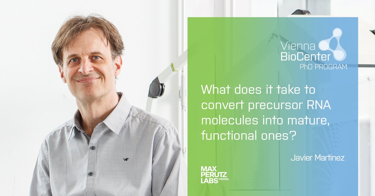 TrainingVbc's tweet image. The Martinez lab @MaxPerutzLabs is offering a position in the @viennabiocenter PhD Program Autumn call which is now open!
More details: vbcphd.at
@gmivienna @IMPvienna @univienna @MedUni_Wien @IMBA_Vienna
#RNAprocessing #Metabolism #MammalianCells #OxidativeStress