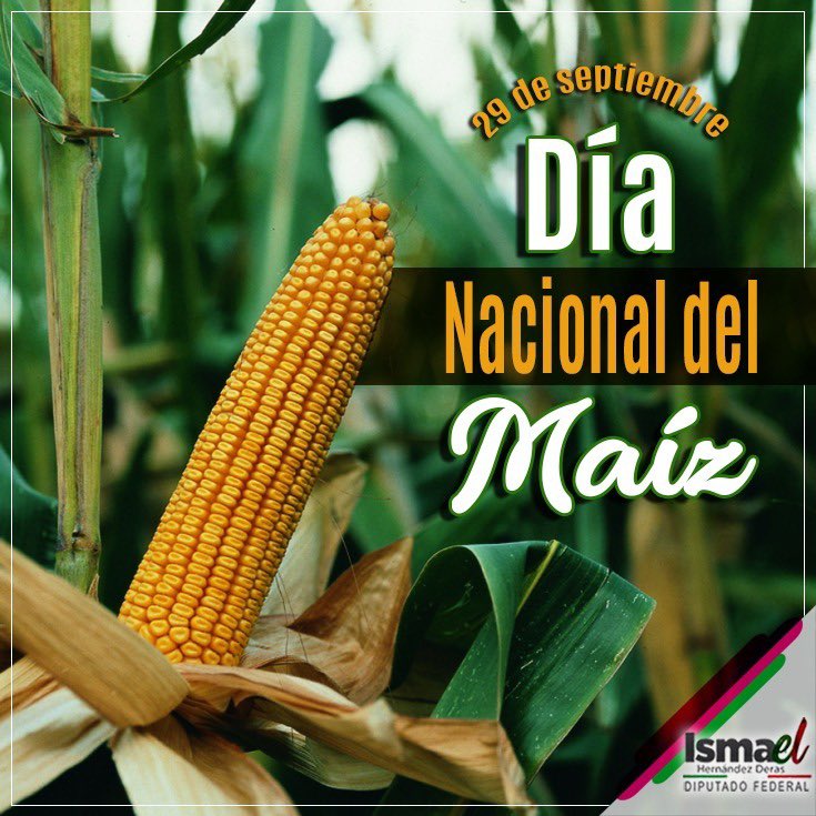 Ismael Hernández tweet media