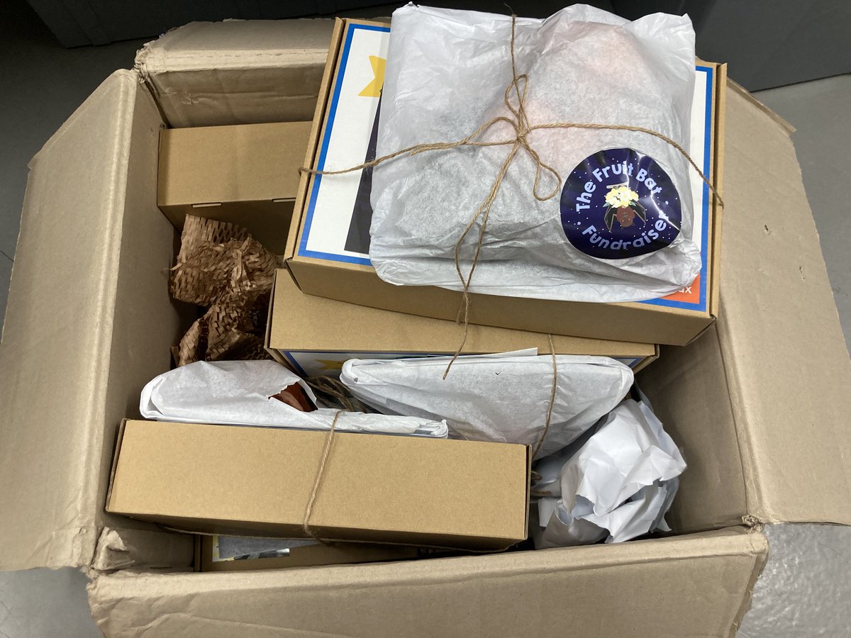marcuschua's tweet photo. “Luck and blessing has arrived”
@RimbaResearch #ProjectPteropus fruit bat fundraiser swag arrived today!
I particularly love the FU BAT pins—thank you! Great conversation starter on bats, as are the other items.
Batty folks in the US, get ready to get bat swag when I return! https://t.co/KdG2m31MPE