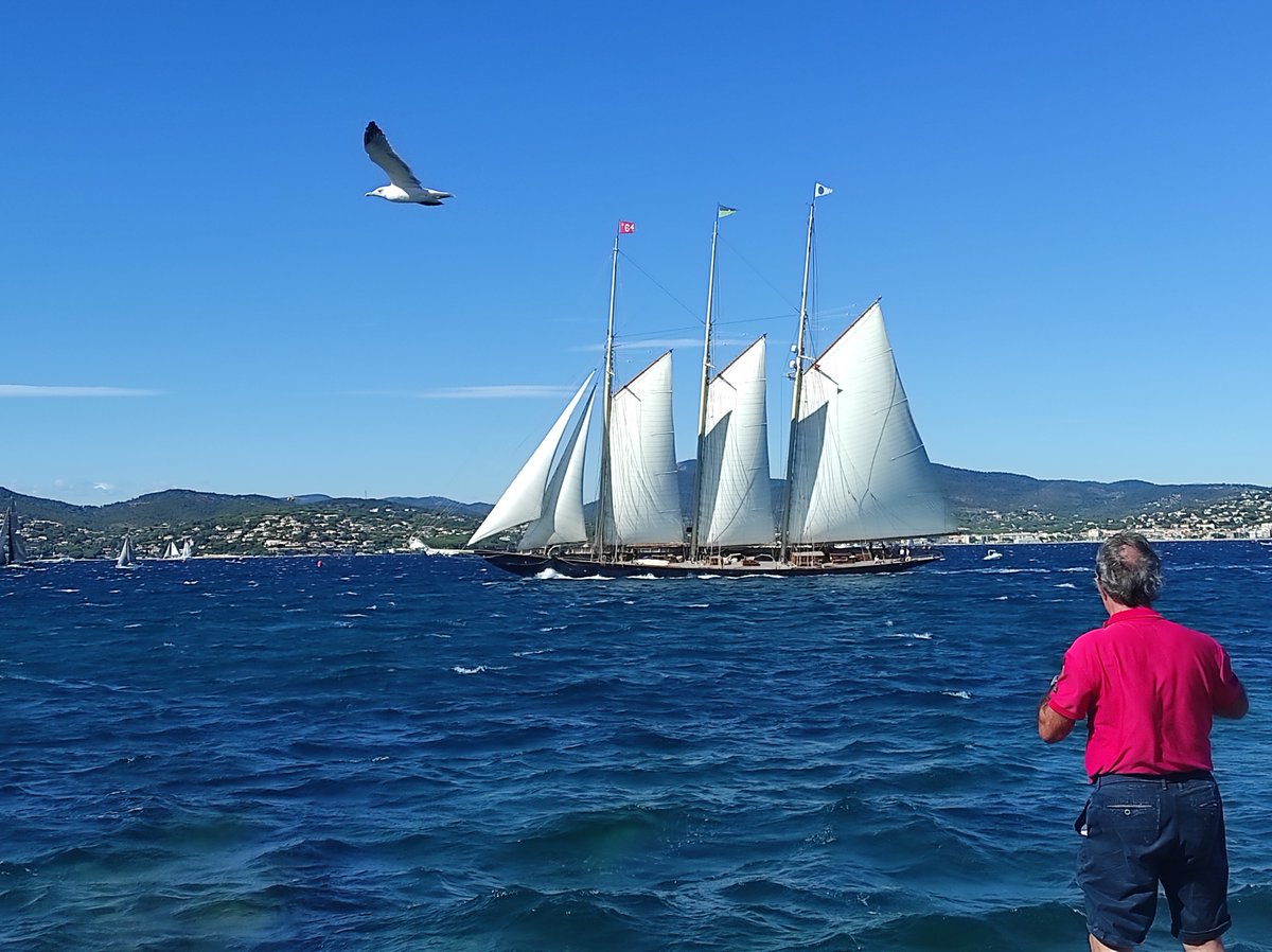 A notre tour d'en prendre plein les yeux aujourd'hui aux #voilesdesttropez ⛵☀️